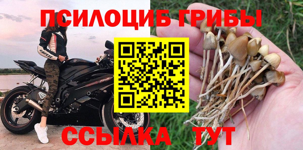 Псилоцибиновые грибы Psilocybe  Вход с VPN  Протвино 