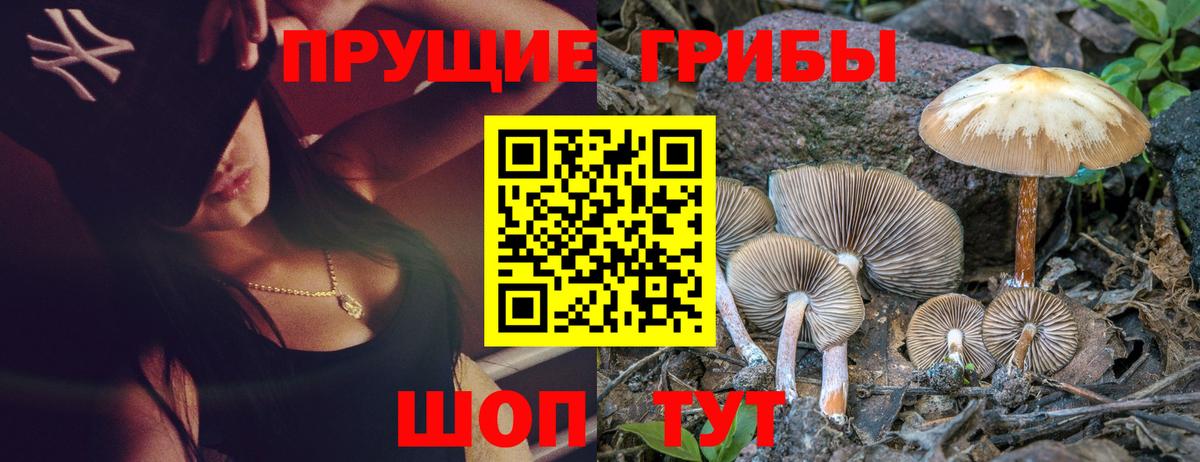 Галлюциногенные грибы Magic Shrooms Протвино